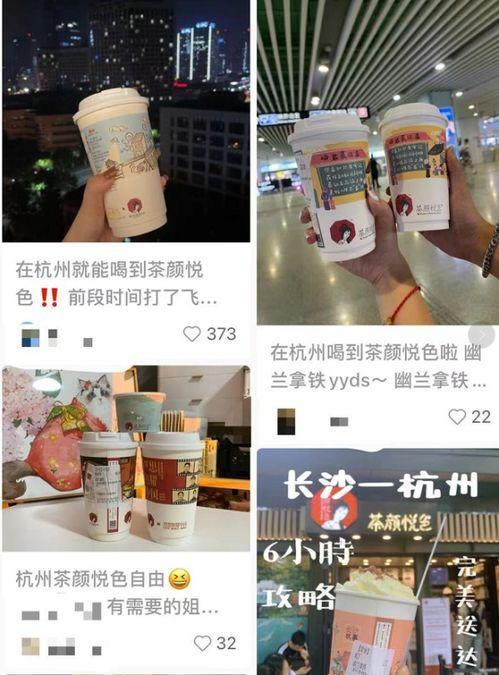 奶茶最新爆料,揭秘网红奶茶背后的秘密与趋势  第1张